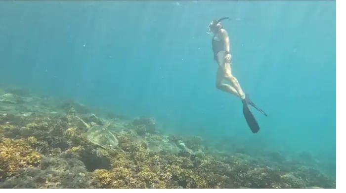 A snorkeler enjoying calm water above a turtle in Coiba, Panama