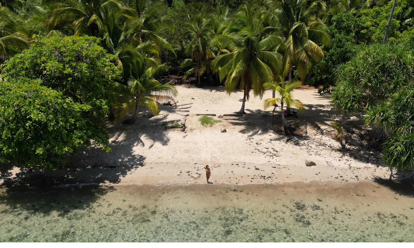 Sea turtle on a coral reef in Coiba Island, Panama