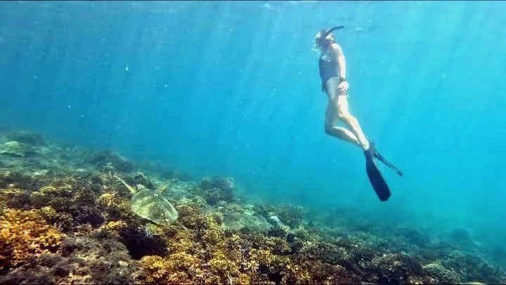 Freediver over Coiba's reef