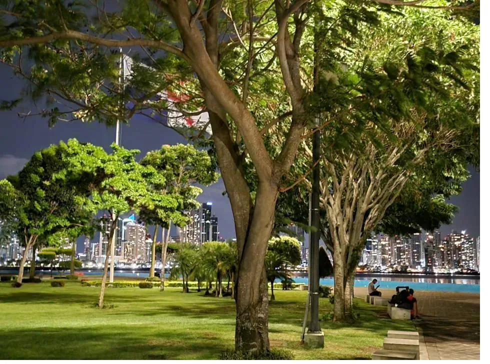 Panama City skyline at night seen from the Cinta Costera waterfront park
