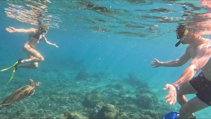 Two snorkelers swimming beside a wild green sea turtle over the reef in Coiba National Park, Panama