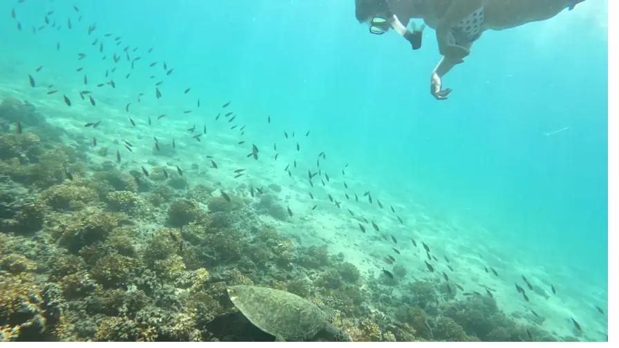 Calm, shallow water and plenty of fish — ideal for first-timers