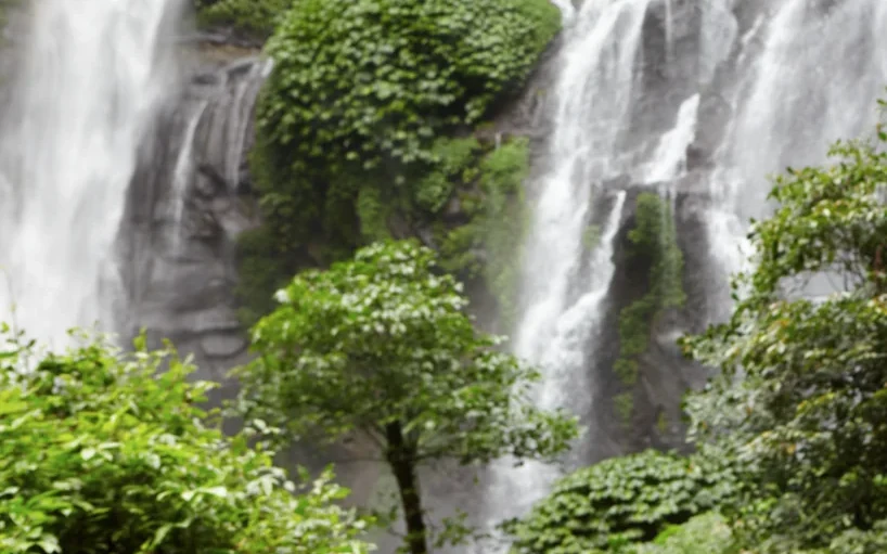 Tropical moist forest and waterfall in Pacific Panama, the habitat type found on Coiba and Jicarón