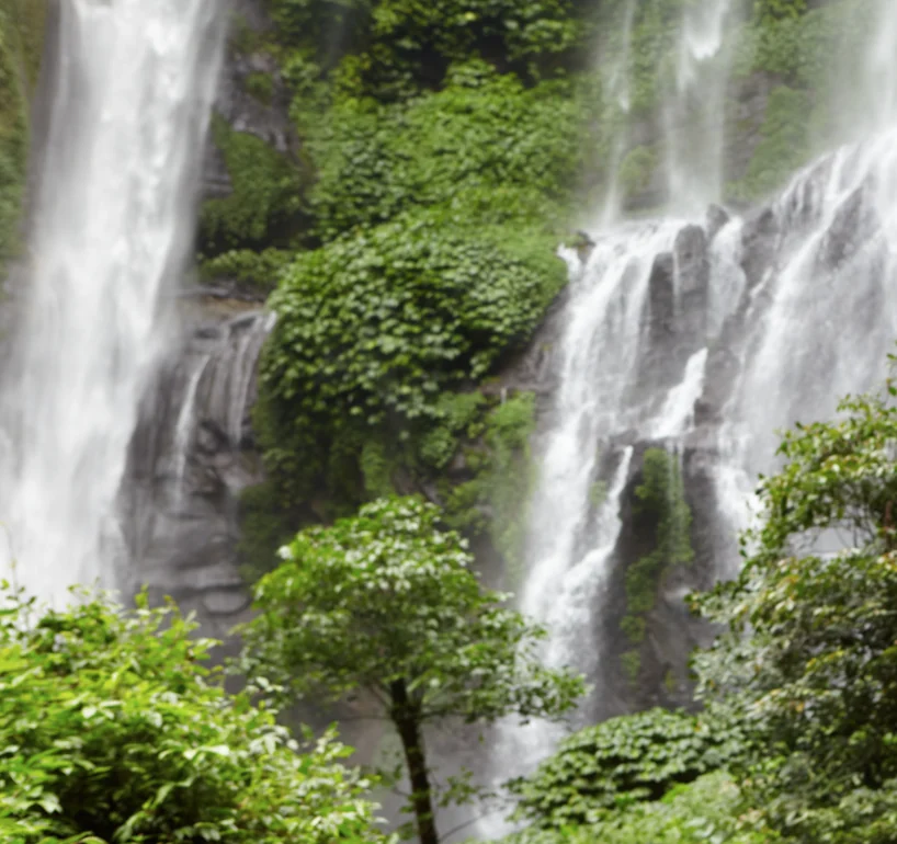 Tropical moist forest and waterfall in Pacific Panama, the habitat type found on Coiba and Jicarón